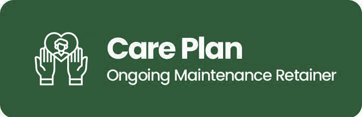Care Plan